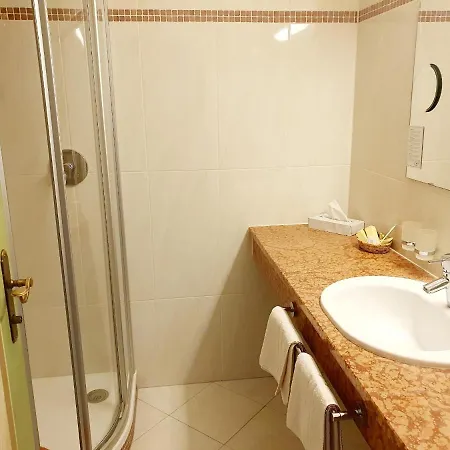 Raffl's Hotell 4*