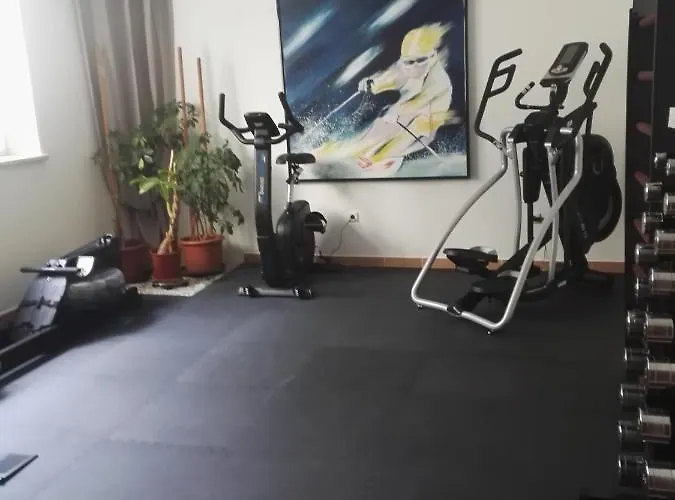 ホテル Raffl's 4*